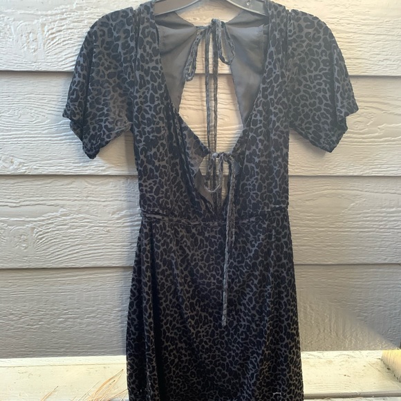 Honey Punch Dresses & Skirts - Black velvet animal print HoneyPunch dress